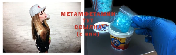 индика Новозыбков