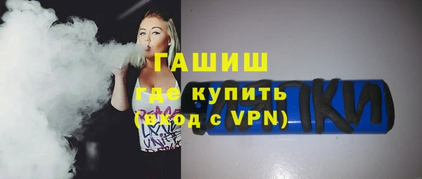 индика Новозыбков