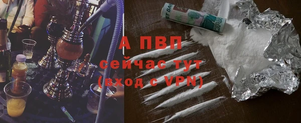 гашик Баксан